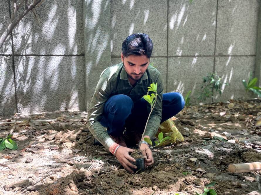 Volunteer planting a sapling during a plantation drive