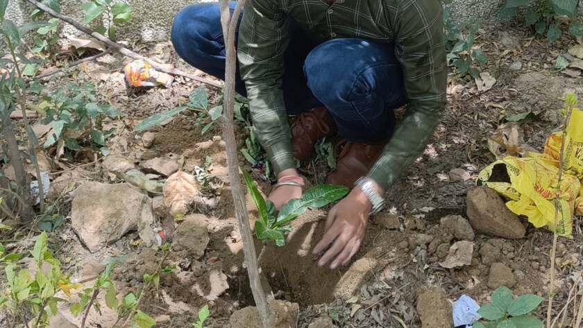 Feeding Universe volunteers planting saplings in Delhi